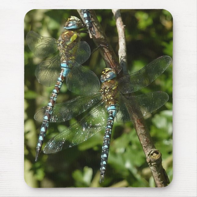 Tillsammans! Musmatta (Framsidan)