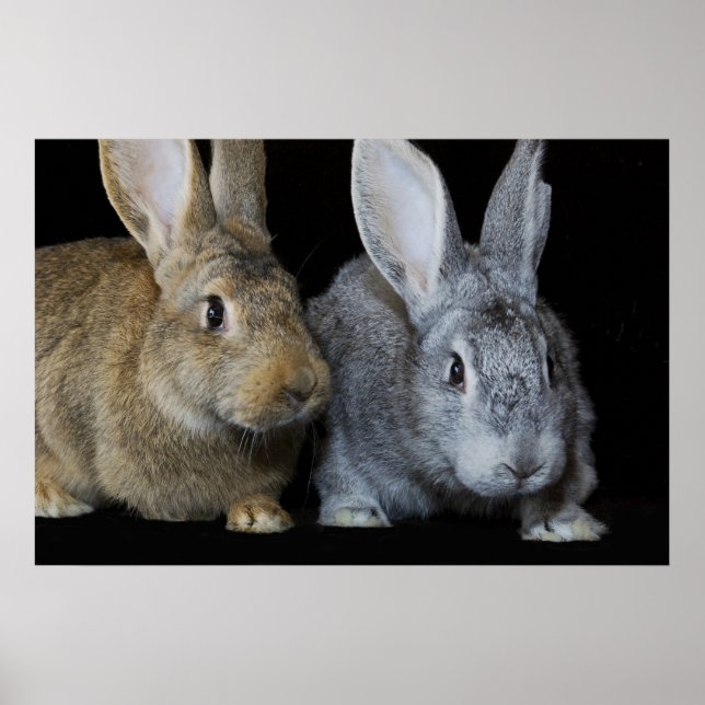 Tillsammans Poster (Framsidan)