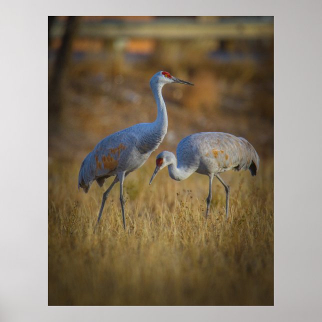 Tillsammans Poster (Framsidan)