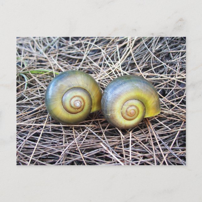 Tillsammans varm vykort (Framsida)