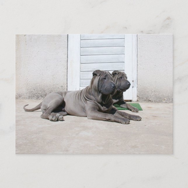 Tillsammans Vykort (Framsida)