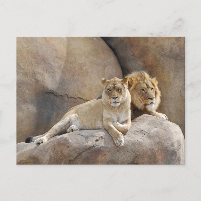 Tillsammans Vykort (Framsida)