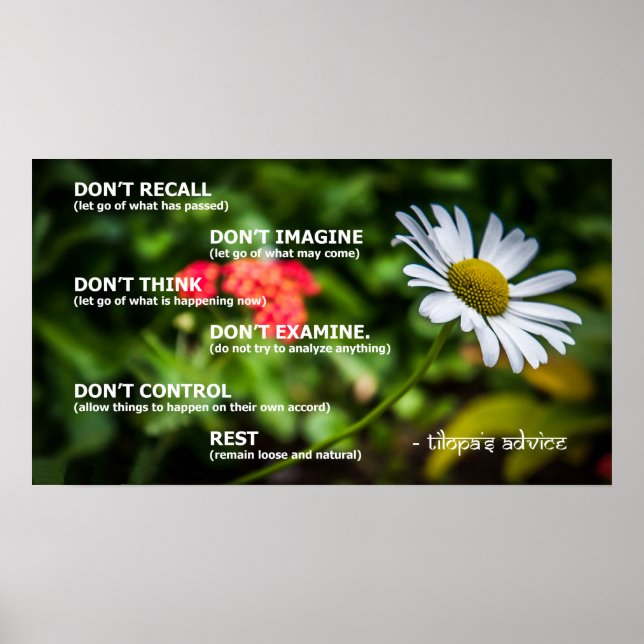 Tilopas råd Poster (Framsidan)