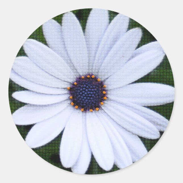 Tilt blomma runt klistermärke (Framsida)