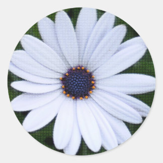 Tilt blomma runt klistermärke