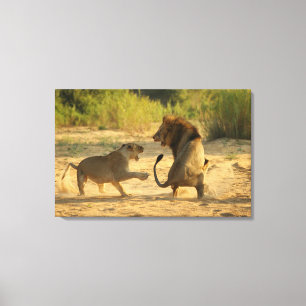 Timbavati flod, Kruger nationalpark, Limpopo Canvastryck