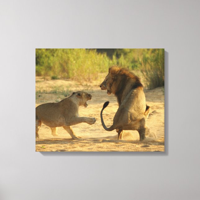 Timbavati River, Kruger National Park, Limpopo Canvastryck (Framsida)