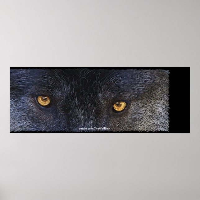 Timber Varg Ögon Wildlife Photo Art Poster (Framsidan)