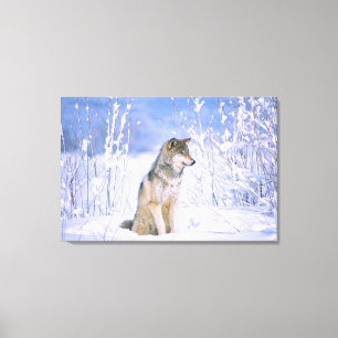 Timber varg sittande i snön, Canis lupus, Canvastryck