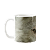 Timber Varg Wildlife Photography