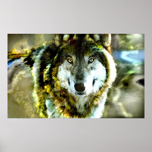 Timber-Vargen Poster från JungleWalk.com