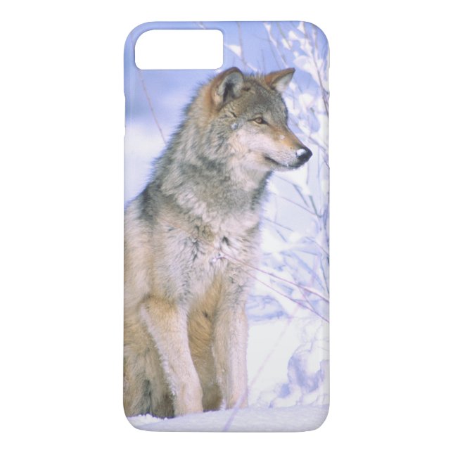Timber Wolf sittande i snön, Canis lupus, Case-Mate iPhone Skal (Baksida)