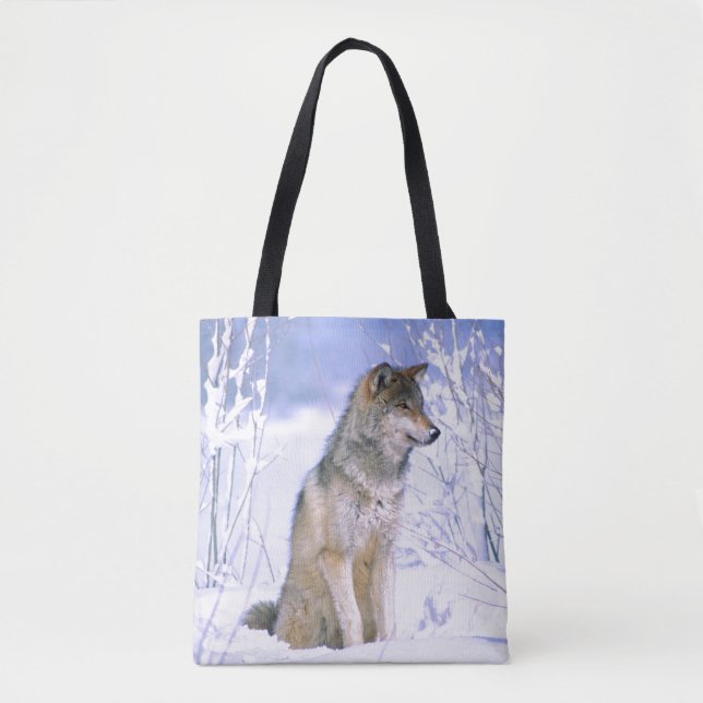 Timber Wolf sittande i snön, Canis lupus Tygkasse (Framsida)
