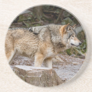 Timber Wolf Underlägg