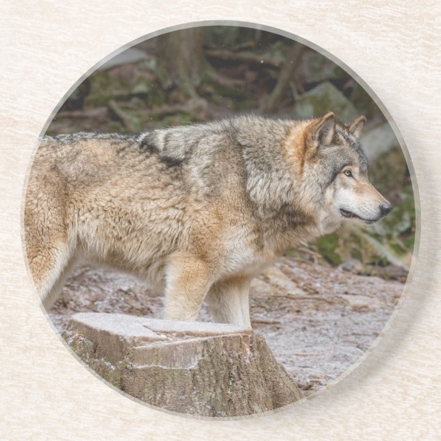 Timber Wolf  Underlägg (Framsidan)