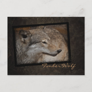 Timber Wolf vykort