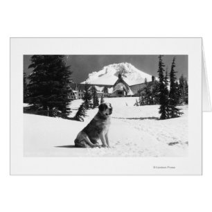 Timberline Lodge och "Dam" ägarens Hälsningskort