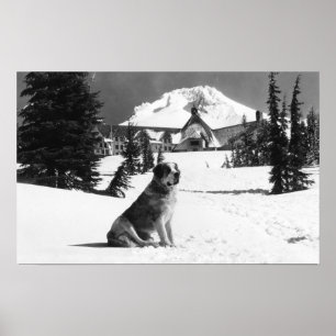 Timberline Lodge och "Dam" ägarens Poster
