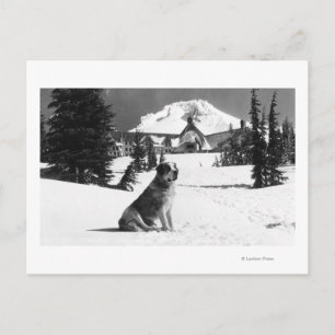 Timberline Lodge och "Dam" ägarens Vykort