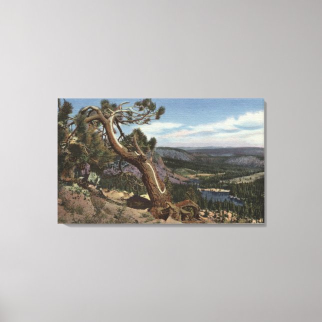 Timberline på Mammoth-Vapenskölden Canvastryck (Framsida)