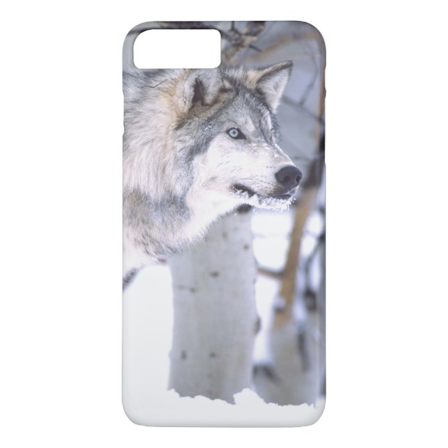 Timbervarg, Canis lupus, Film djur Utah) Case-Mate iPhone Skal (Baksida)