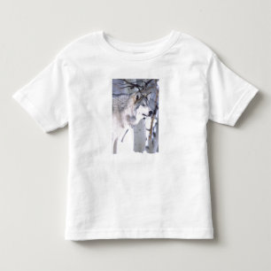 Timbervarg, Canis lupus, Film Djur Utah) Tee