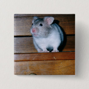 Timbit Hamster-knappen Knapp