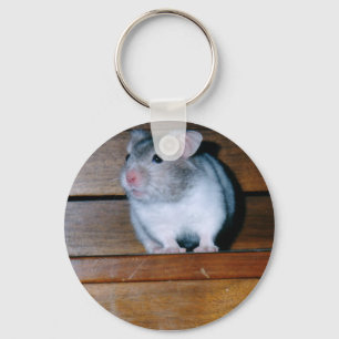 Timbit i Hamster-nyckelkedjan Nyckelring