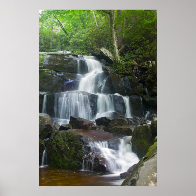 Time Lapse Waterfall Forest Poster (Framsidan)