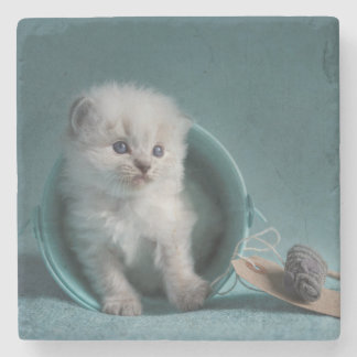 Time som leker stenunderlägg