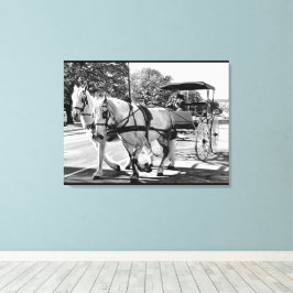 Timeless Journey Canvastryck