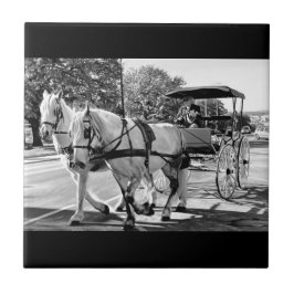 Timeless Journey Kakelplatta