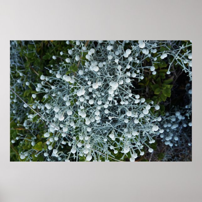 Timeless Journey Poster (Framsidan)