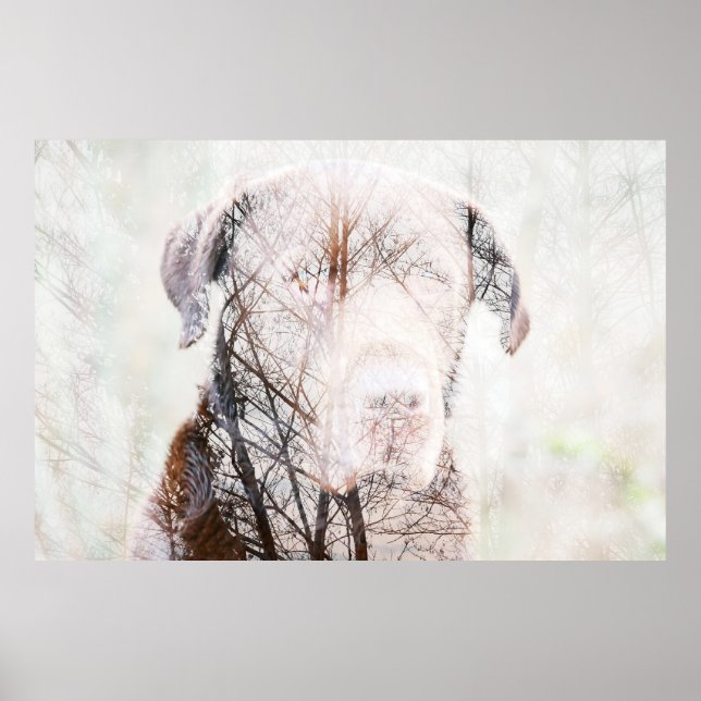 Timeless Journey Poster (Framsidan)