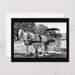 Timeless Journey Vykort