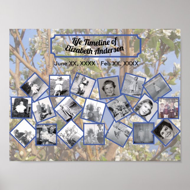 Timeline Photo Collage on White Blossom Tree Poster (Framsidan)