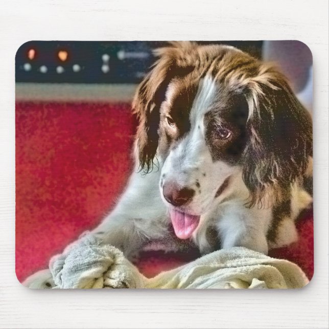 Timeout för uppspelningstid för mus musmatta (Framsidan)