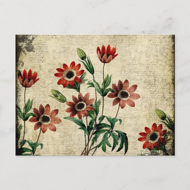 Timless Anemones Vykort (Framsida)