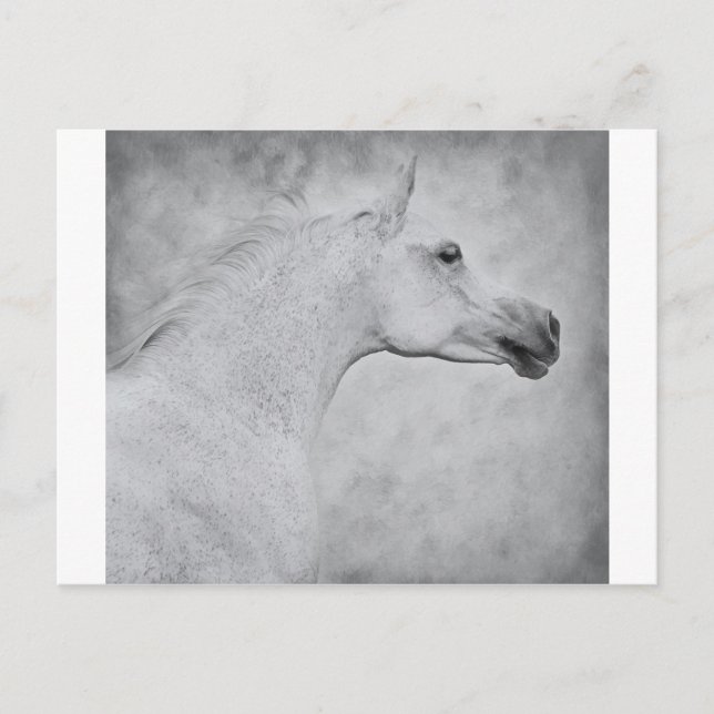 Timless Beauty Vykort (Framsida)