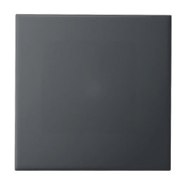 Timless - Mörk Slate Grått Ceramic Tile Kakelplatta