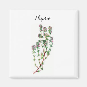 Timme Herb Magnet