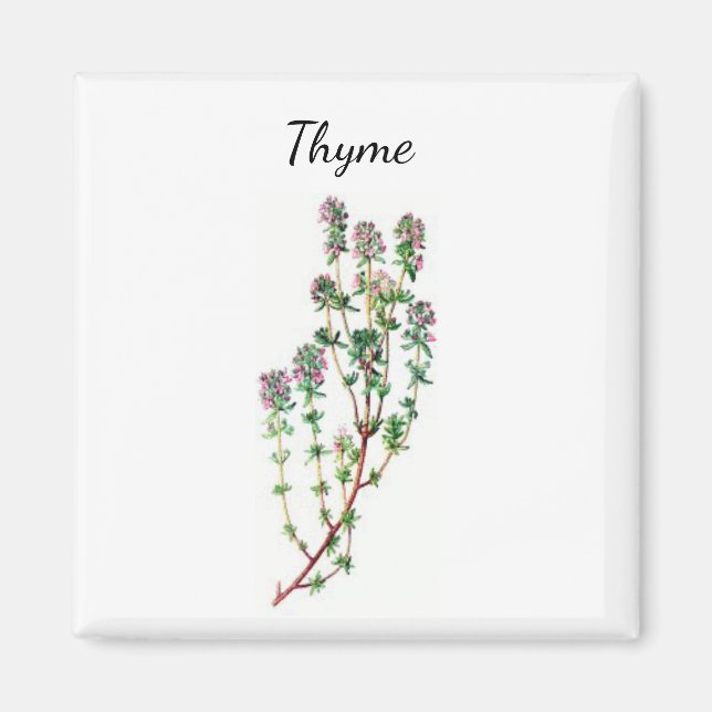 Timme Herb Magnet (Framsidan)