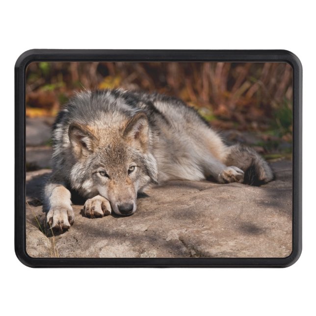 TimmerVarg Dragkroksskydd (Framsidan)