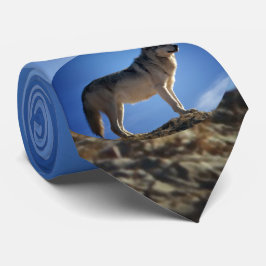 Timmervarg i Montana - stort himmelland Slips