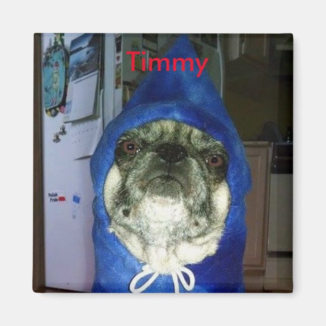 Timmy Hoodie Magnet (Framsidan)