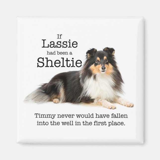 Timmy's Tri-Färg Sheltie Magnet (Framsidan)