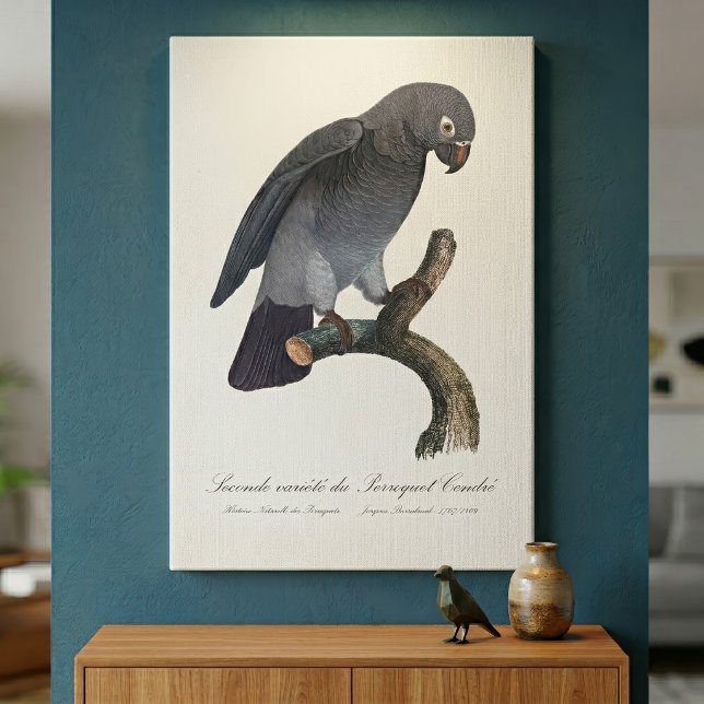 Timneh-afrikansk gråpapegoja, Psittacus Timneh Canvastryck (Timneh African Grey Parrot, Psittacus Timneh. Canvas Print)