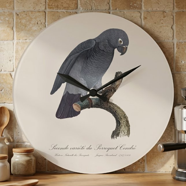 Timnehgrå papegoja, Psittacus Timneh Stor Klocka (Timneh African Grey Parrot, Psittacus Timneh. Large Clock )