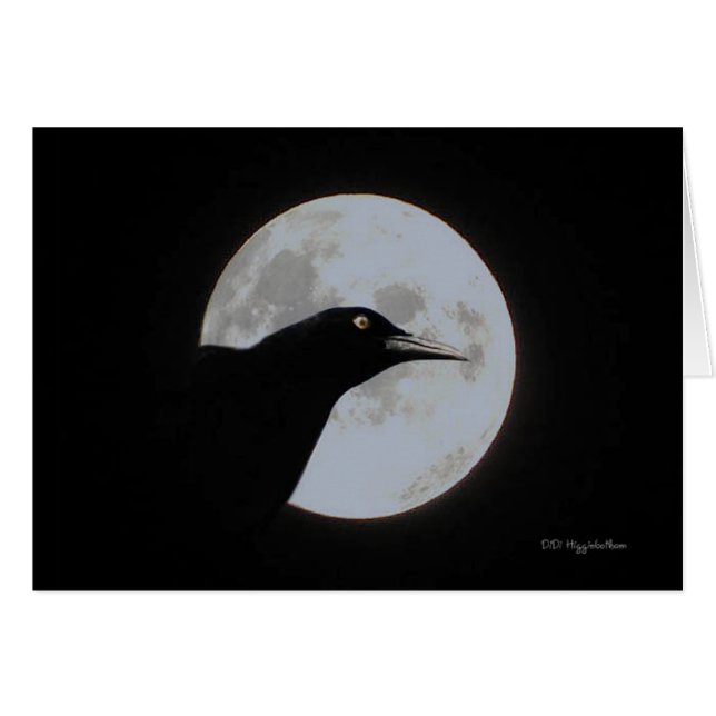 Timour OBS Kort (Framsidan Horizontal)