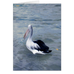Tin Can Bay Pelican Hälsningskort